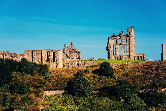 private-half-day-coastal-tour-from-newcastle-to-veras-world