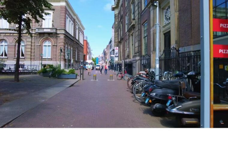 private-half-day-delft-and-the-hague-tour