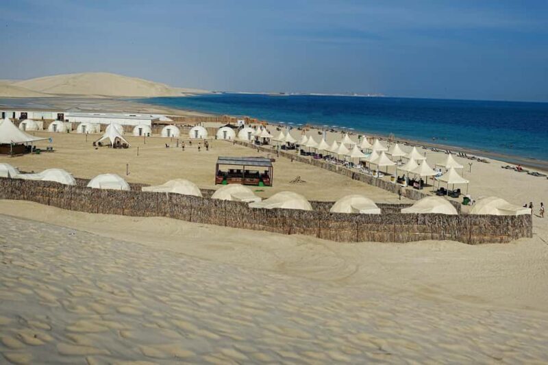 Private Half-Day Desert Safari Tour+Camel Ride - What to Expect from the Desert Safari