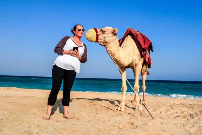 Private Half-Day Desert Safari Tour+Camel Ride - Who Should Consider This Tour?