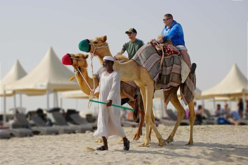Private Half-Day Desert Safari Tour+Camel Ride - The Sum Up