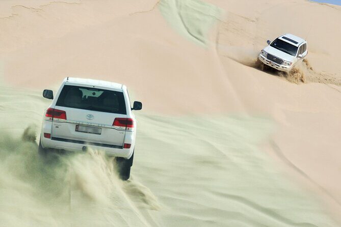 Private Half Day Desert Safari with Camel Ride - The Itinerary: What to Expect at Each Stop