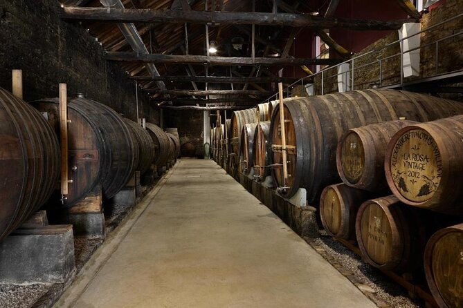 private-half-day-douro-tour