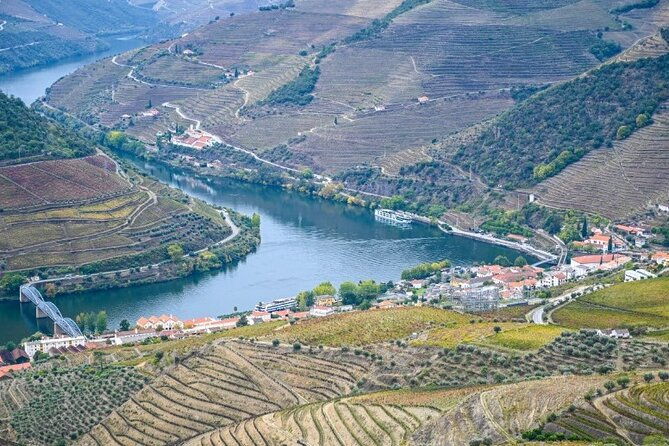 private-half-day-douro-tour