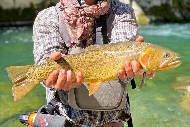 private-half-day-fly-fishing