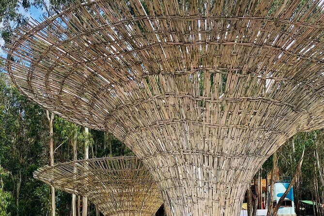 Private Half Day Guided tour in Addis Ababa New Flower - Who Is This Tour Best For?