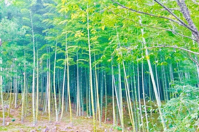 private-half-day-guided-tour-in-arashiyama-kyoto