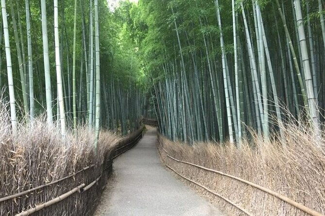 private-half-day-guided-tour-in-arashiyama-kyoto