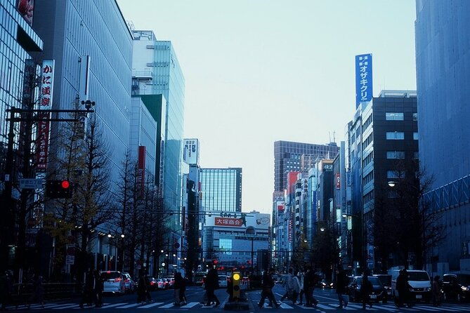 private-half-day-guided-walking-tour-of-shinjuku