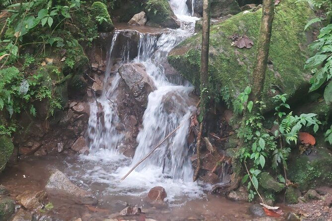 private-half-day-hike-to-cerro-cristo-rey-with-lunch