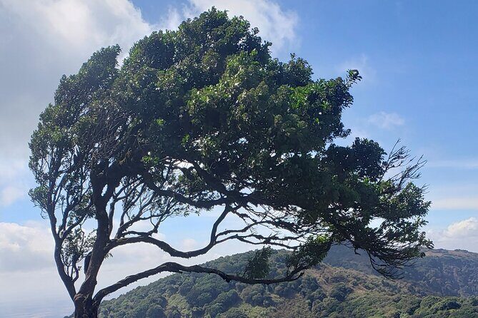 Private Half Day Hike to Ngong Hills from Nairobi - What’s Included and What to Bring