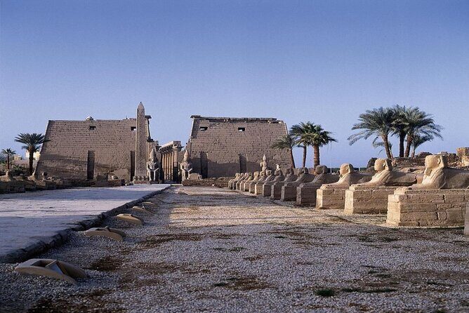 Private Half-Day Horse Carriage Discovery in Luxor - The Sum Up