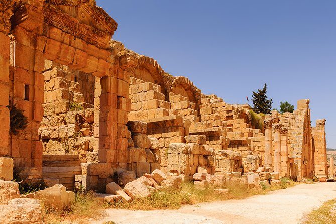 Private Half Day Jerash and Amman Sightseeing Tour - Final Thoughts