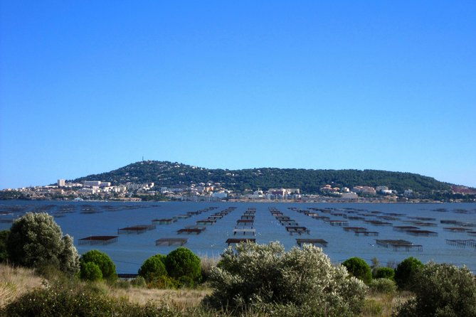private-half-day-languedoc-wine-and-oyster-tour-from-sete