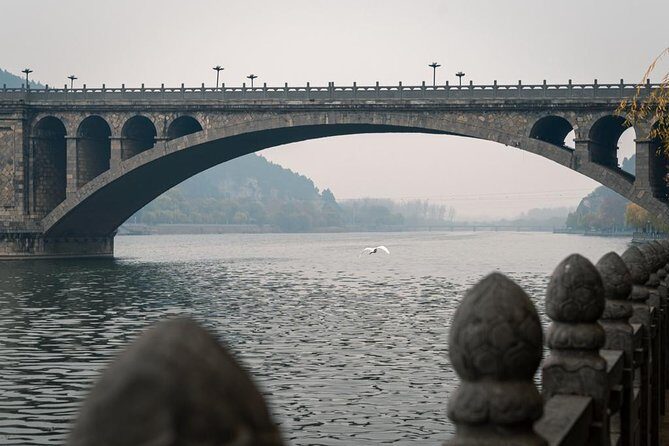 Private Half-Day Longmen Grottoes Walking Tour from Luoyang - In-Depth Look at the Tour Experience