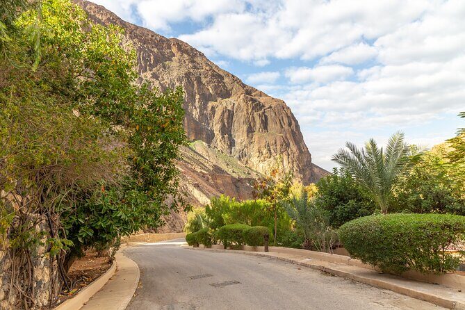 Private Half-Day Ma'in Waterfalls and Hot Springs Tour from Amman - An Introduction to the Main Waterfalls and Hot Springs Tour