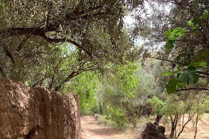 Private half-day mountain bike tour discover Palmeraie Skoura - Why Travelers Keep Coming Back
