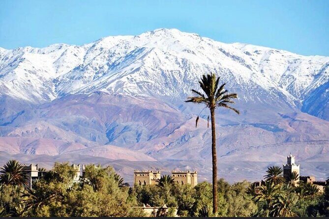 Private half-day mountain bike tour discover Palmeraie Skoura - Frequently Asked Questions