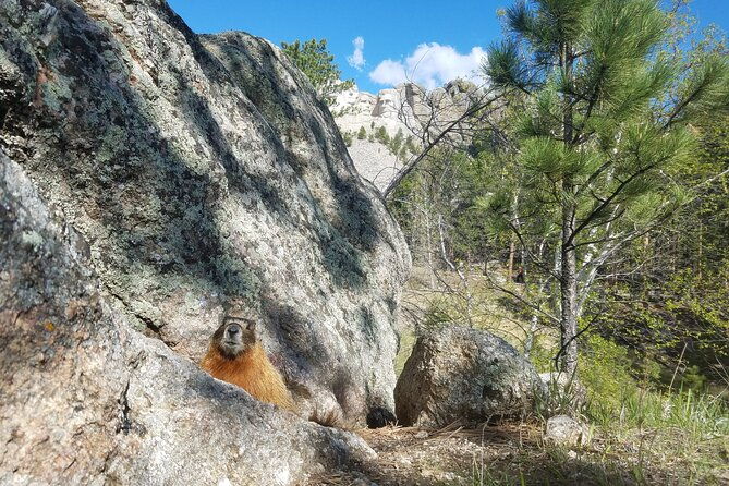 private-half-day-mt-rushmore-black-hills-tour