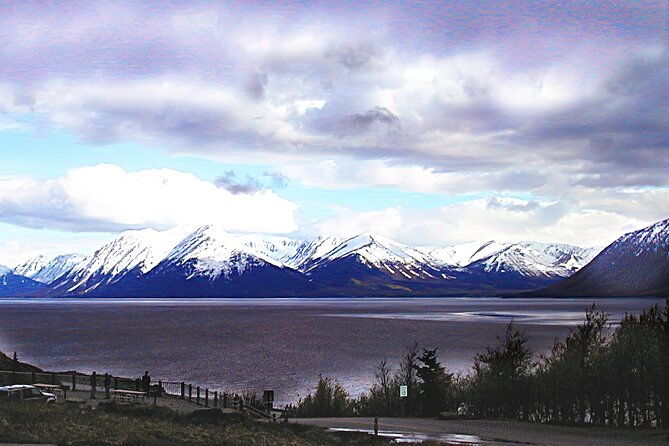 private-half-day-nature-tour-from-anchorage