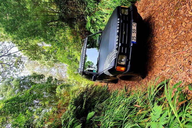 Private Half Day Off Road Tour in Madeira - Itinerary Breakdown: From Mountains to Vineyards and Beyond