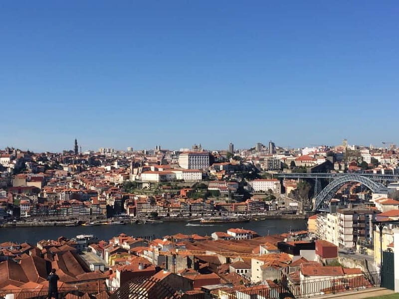 Private Half-Day Porto Tour By Car - A Detailed Look at the Private Porto Tour