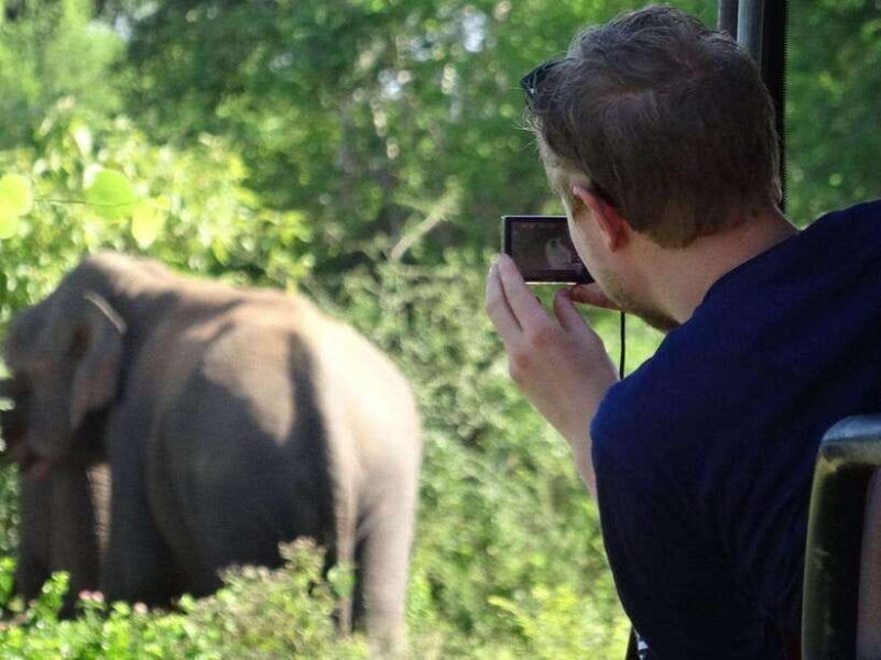 private-half-day-safari-at-yala-national-park