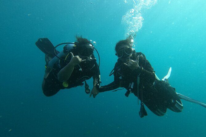 Private Half-Day Scuba Diving with expert (1Dive) - Key Points