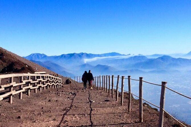 private-half-day-sightseeing-tour-of-vesuvius-national-park