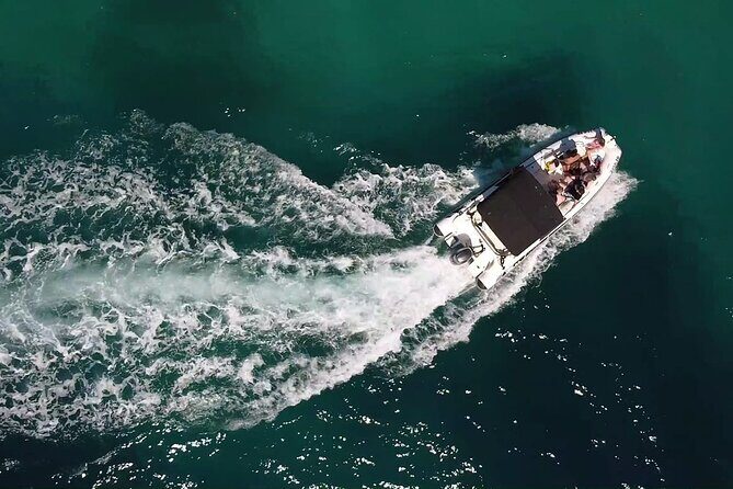 Private Half Day Speedboat tour to Zadar's Nearby Islands - Key Points