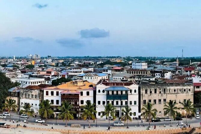Private Half Day Stone Town Walking Tour - Key Points