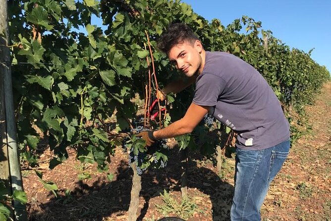 private-half-day-tour-chianti-classico-wine-experience