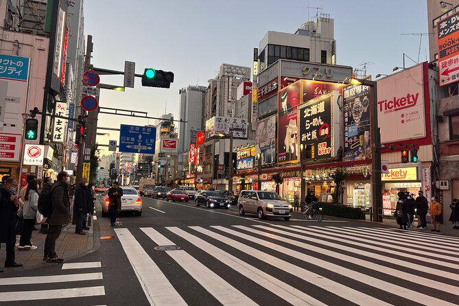 private-half-day-tour-colorful-and-busy-street-in-central-tokyo