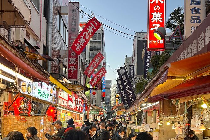 private-half-day-tour-colorful-and-busy-street-in-central-tokyo