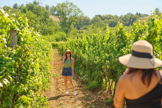 Private Half-Day Tour from Florence to Chianti Wine Region - Exploring the Charm of the Chianti Wine Region: A Detailed Review