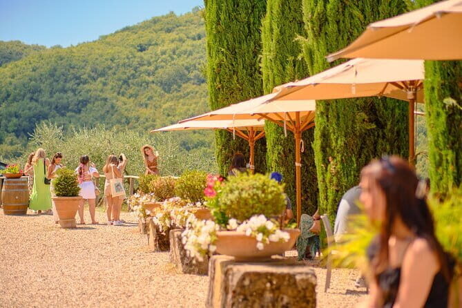 Private Half-Day Tour from Florence to Chianti Wine Region - Why This Tour Works Well