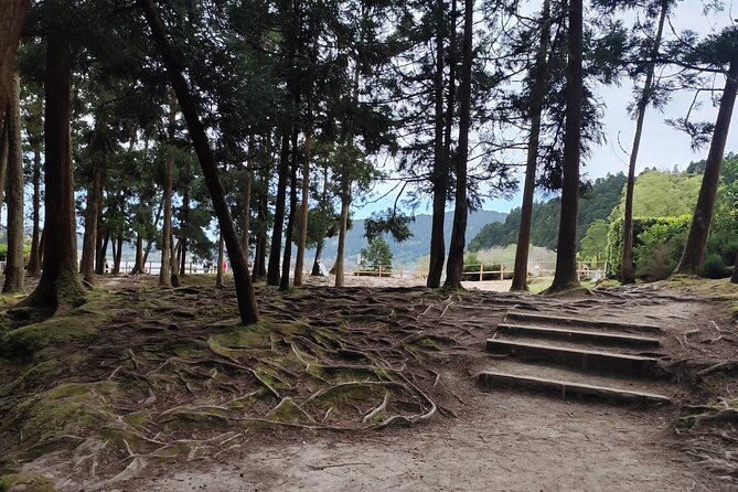 private-half-day-tour-in-furnas-sao-miguel-island