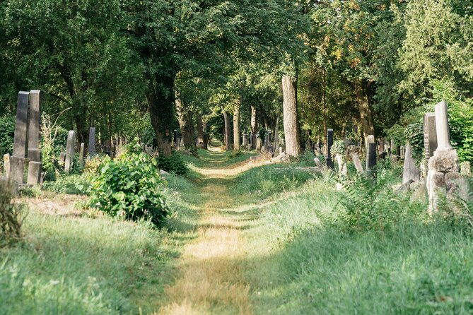 private-half-day-tour-in-jewish-vienna