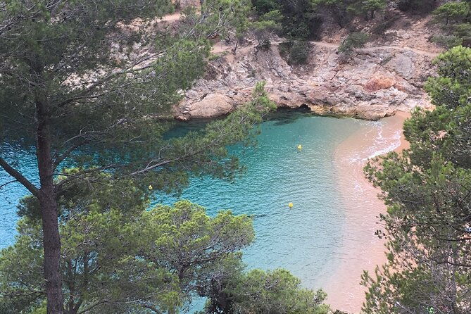 private-half-day-tour-in-monserrat-with-driver