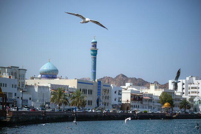 Private Half-day Tour in Muscat - Authentic Insights from Past Travelers