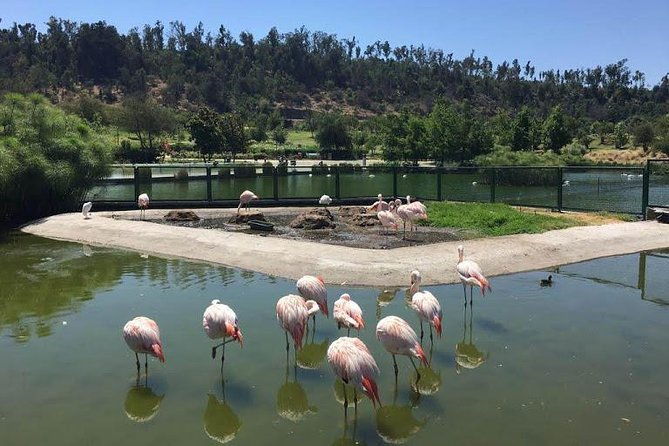 private-half-day-tour-in-santiago