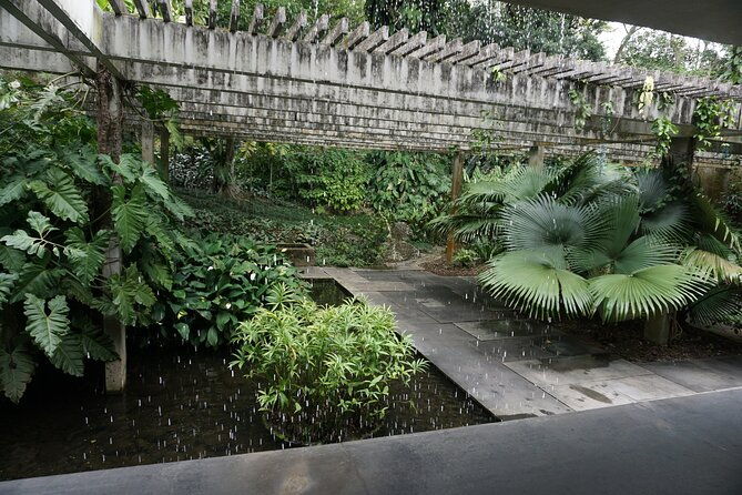 private-half-day-tour-in-sitio-roberto-burle-marx