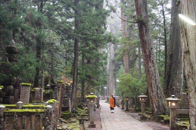 Private Half- Day Tour in Wakayama Koyasan - A Closer Look at the Itinerary and What to Expect