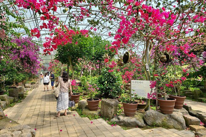 Private Half Day Tour Lava tube(Hanrim park ) in jeju island - The Sum Up