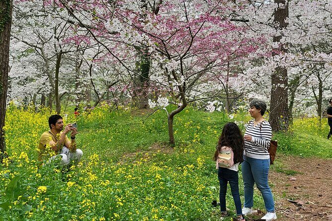 Private Half Day Tour Lava tube(Hanrim park ) in jeju island - FAQ