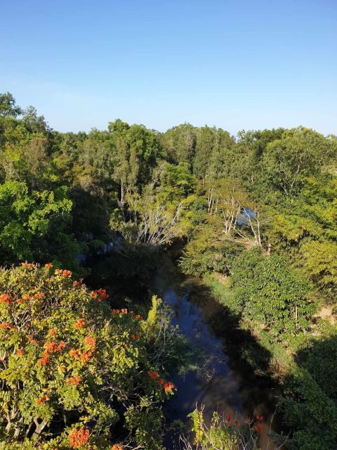 Private half day tour - Nature, wildlife & forest in Can Tho - An In-Depth Look at the Can Tho Nature & Wildlife Tour