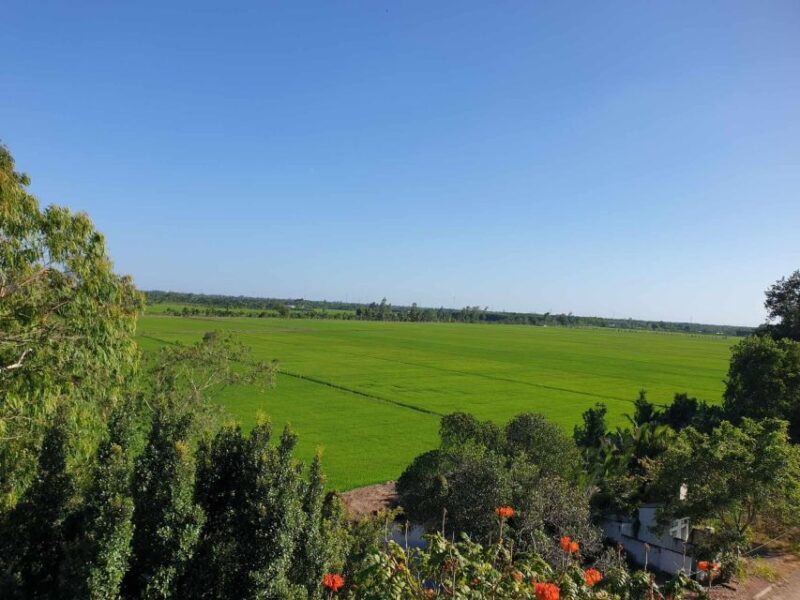 Private half day tour - Nature, wildlife & forest in Can Tho - FAQ