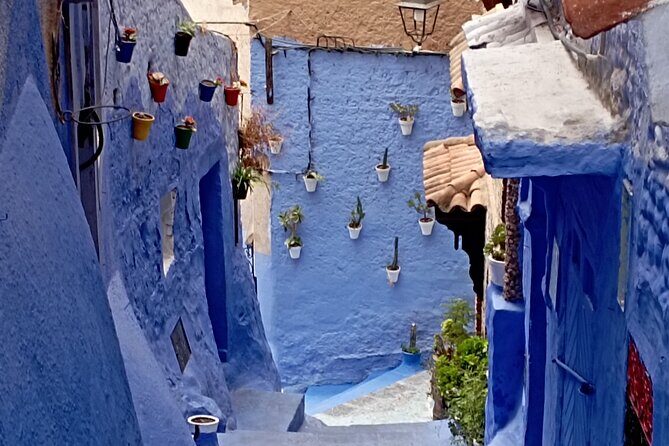 Private Half-Day Tour of Casablanca - FAQs