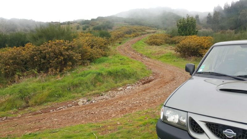 private-half-day-tour-of-funchal-sky-to-sea