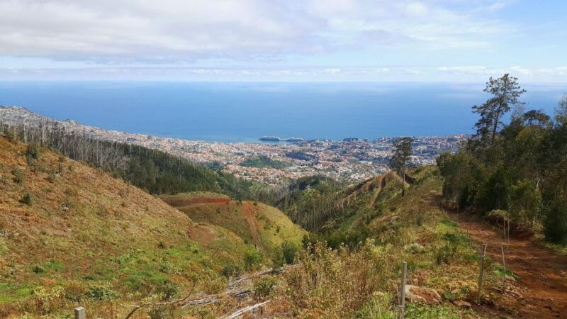 private-half-day-tour-of-funchal-sky-to-sea
